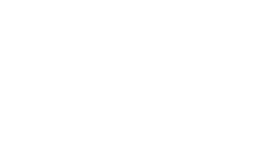 Studio Fabris Logo